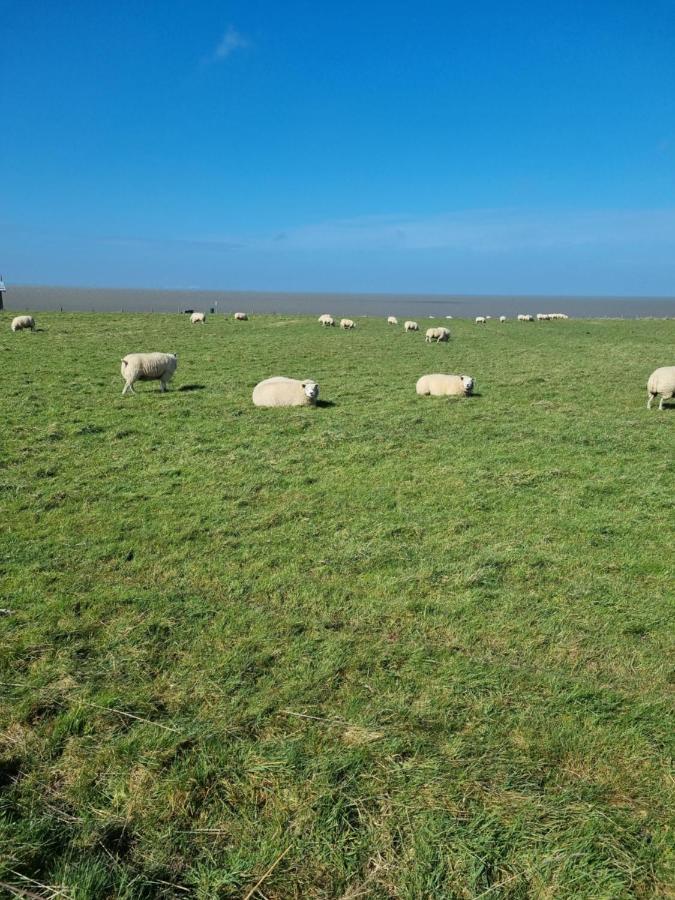 Meerblick Wattenmeer ,50M Vom Meer,Strand 300M Westerland Exterior foto